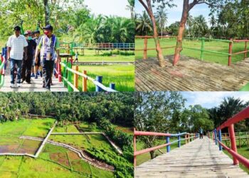 Desa wisata Kampung Kandang Pariaman.