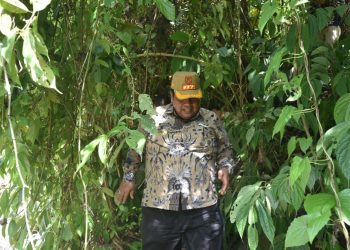Suhatri Bur berjalan kaki meninjau kerusakan irigasi Kapalo Banda Piliang.